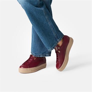 Paul Green Super Soft Platform Trainer - Wine